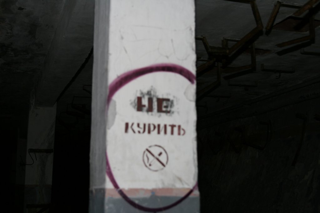 photo19.jpg