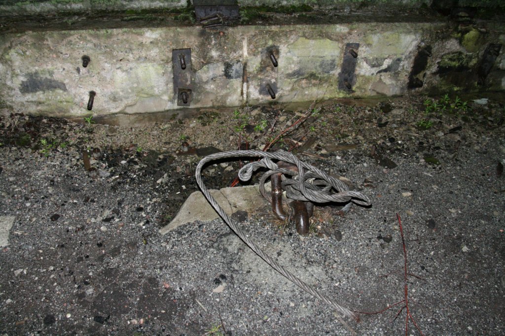 photo45.jpg