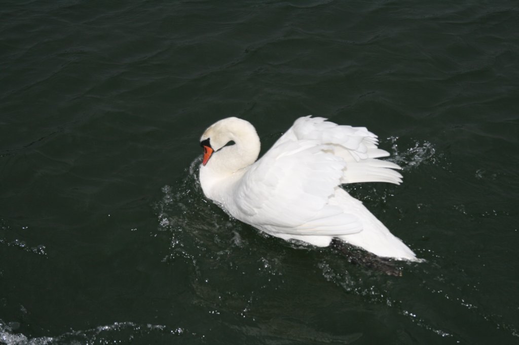 photo20.jpg