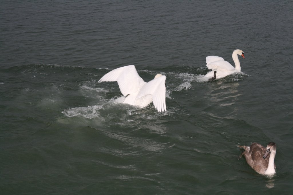 photo24.jpg