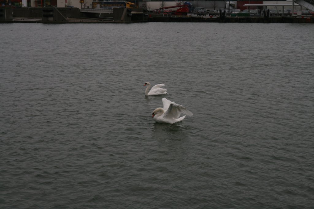 photo29.jpg