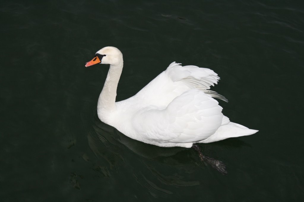 photo37.jpg