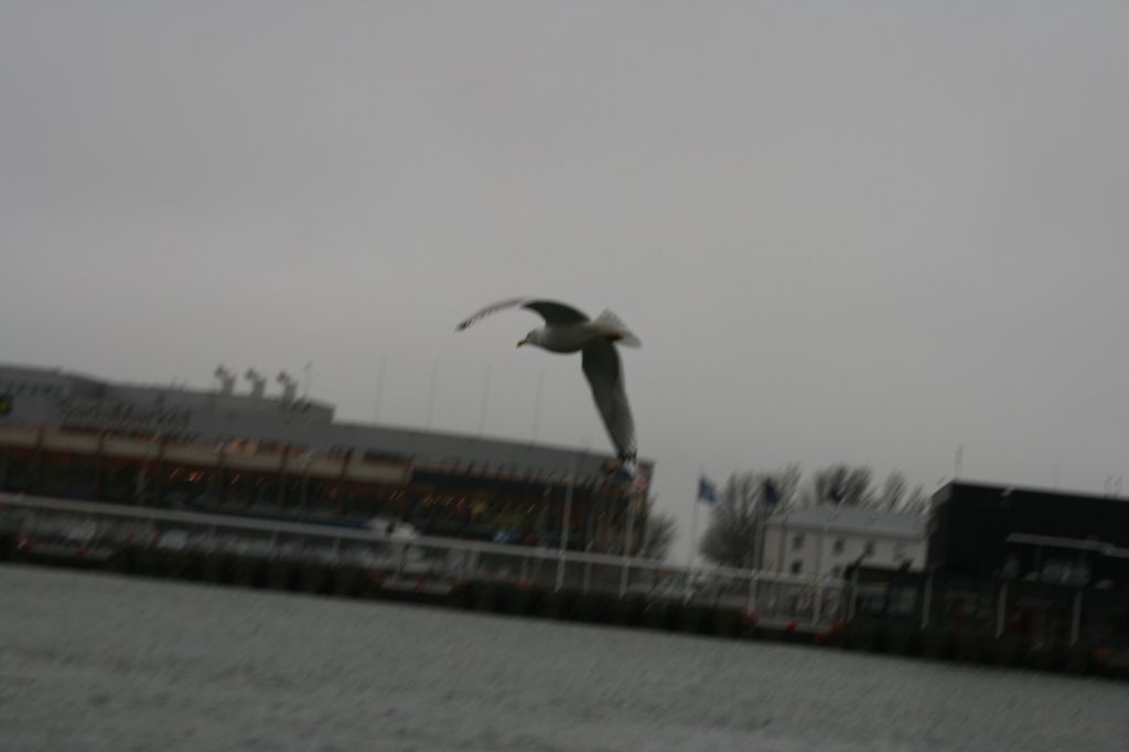 photo46.jpg