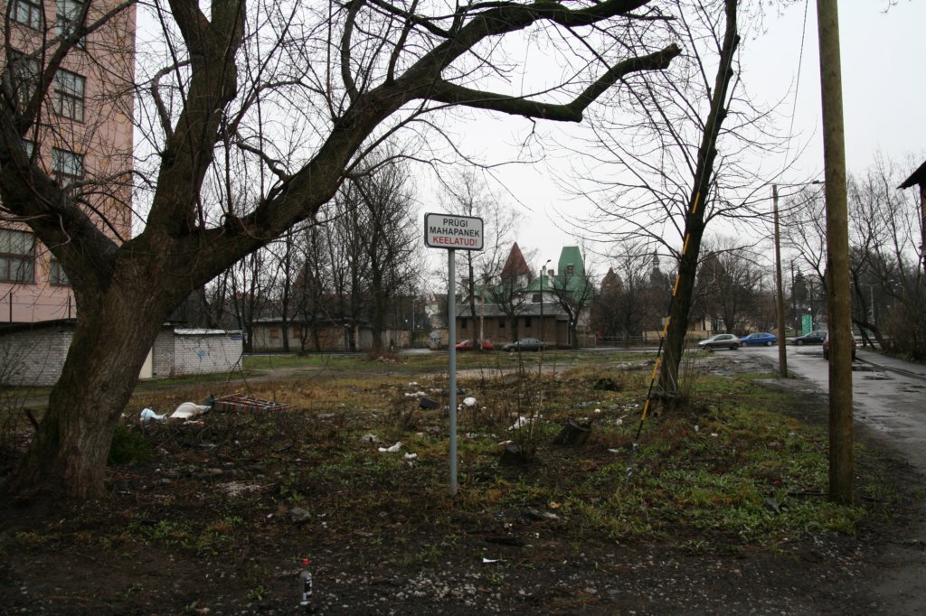photo6.jpg