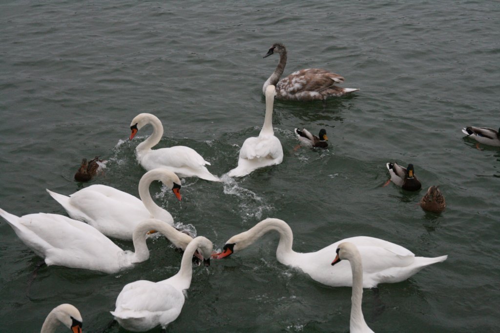 photo90.jpg