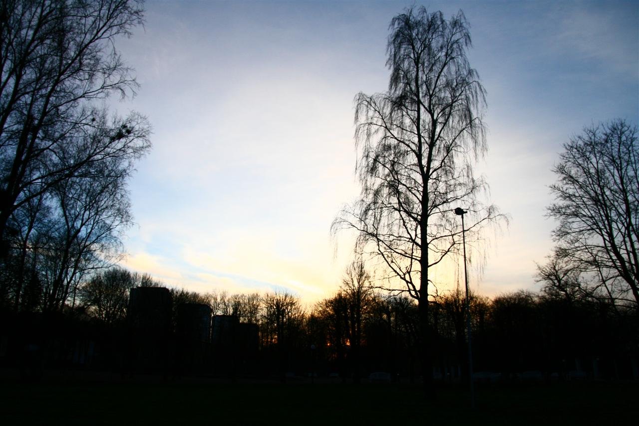 photo80.jpg