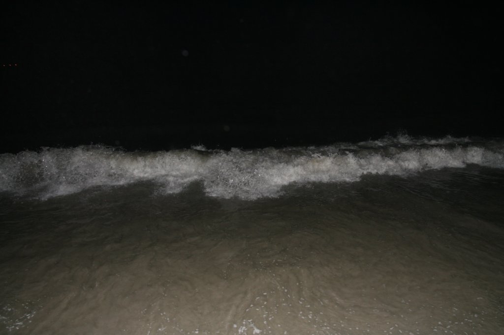 photo147.jpg