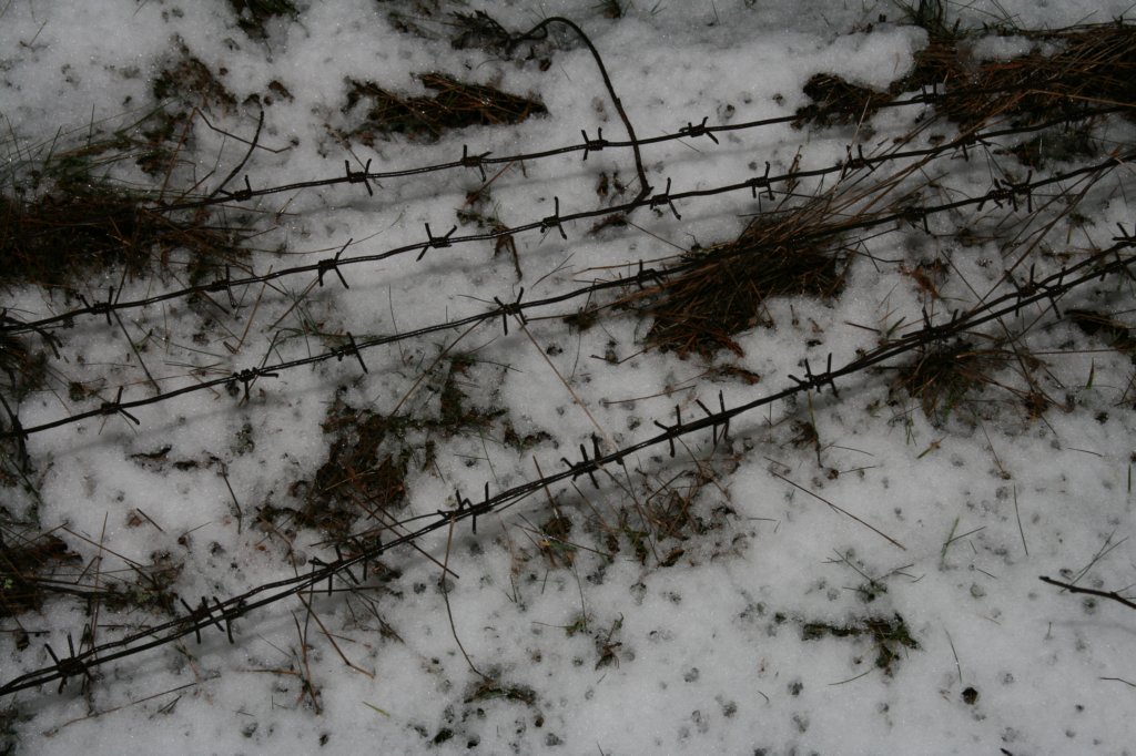 photo36.jpg