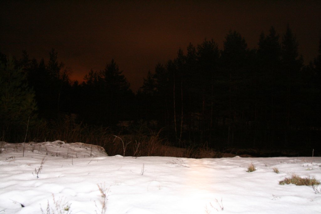 photo48.jpg
