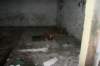 photo5_small.jpg