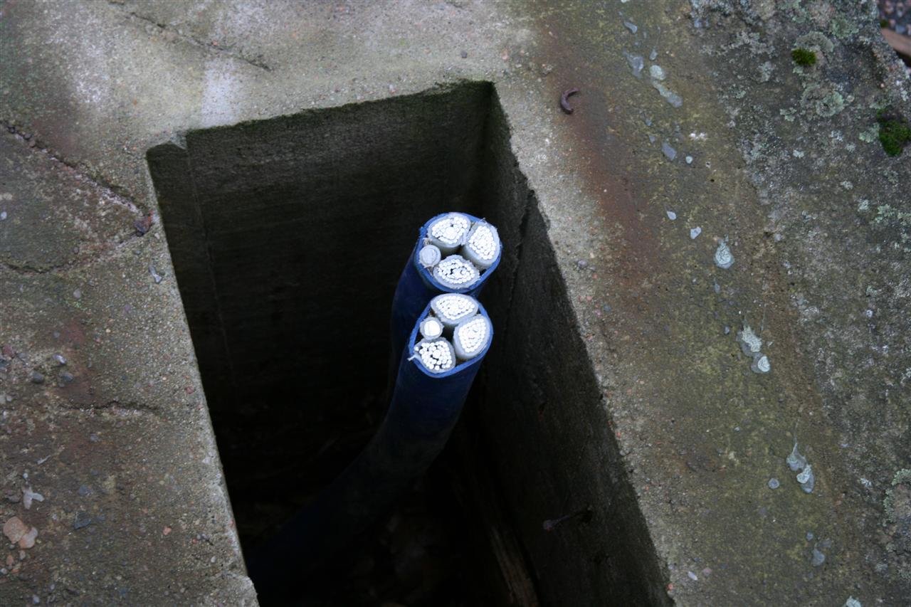 photo20.jpg