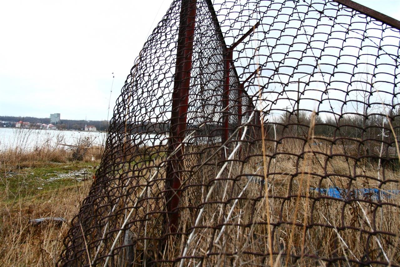 photo25.jpg