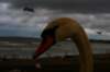 photo80_small.jpg