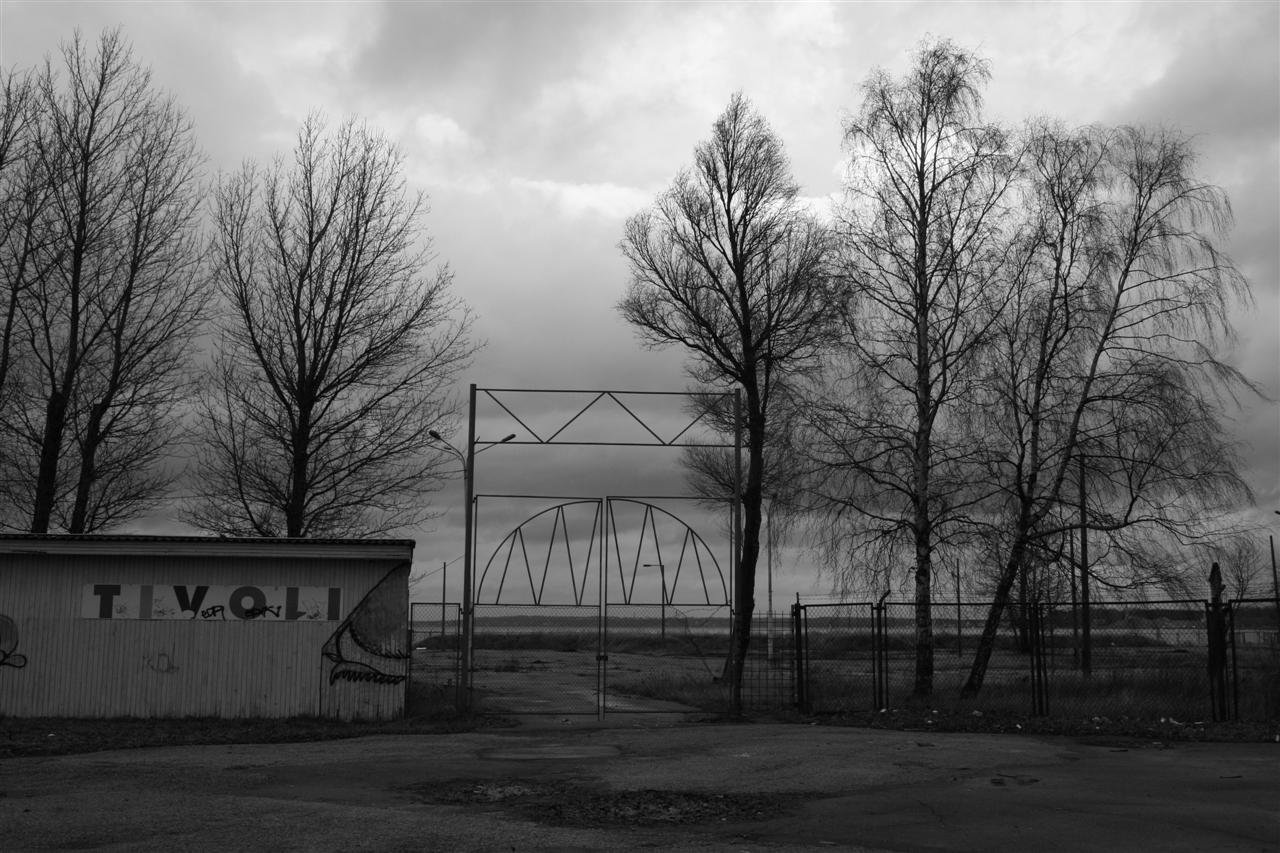 photo9.jpg