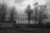 photo9_small.jpg