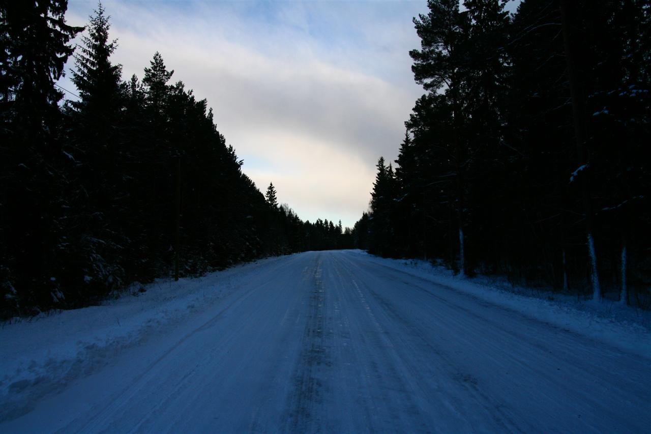 photo14.jpg