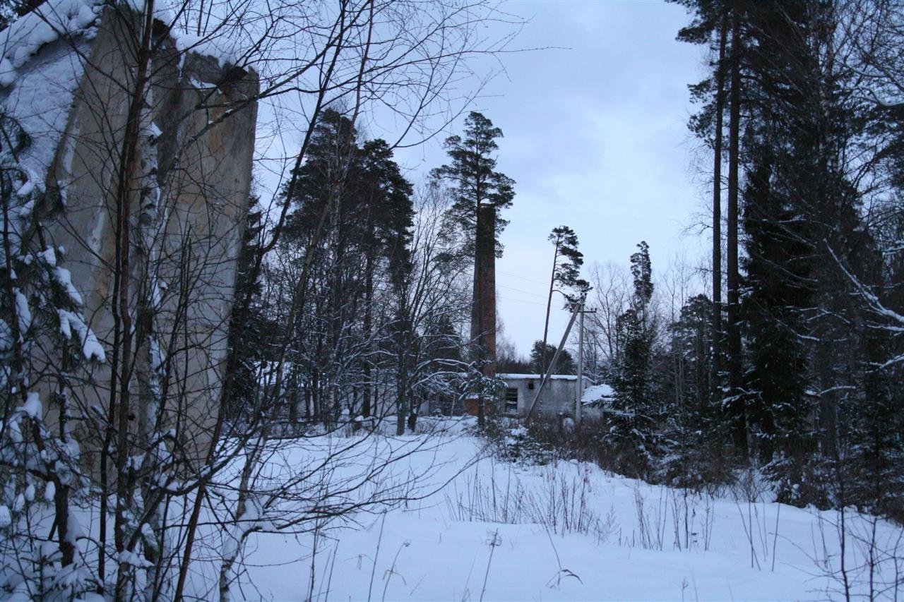 photo30.jpg