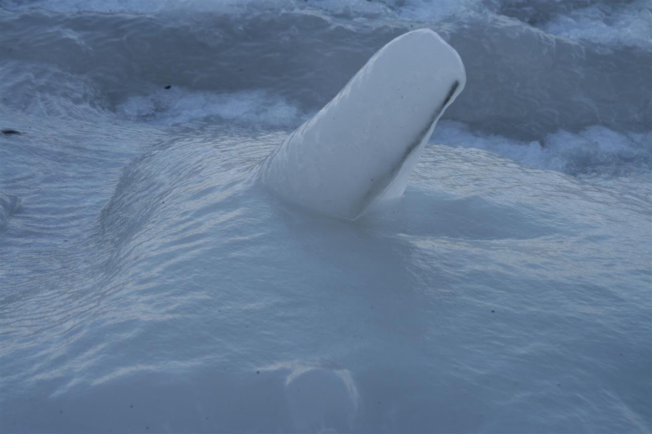 photo22.jpg