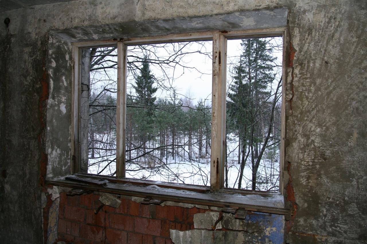 photo12.jpg
