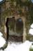 photo30_small.jpg