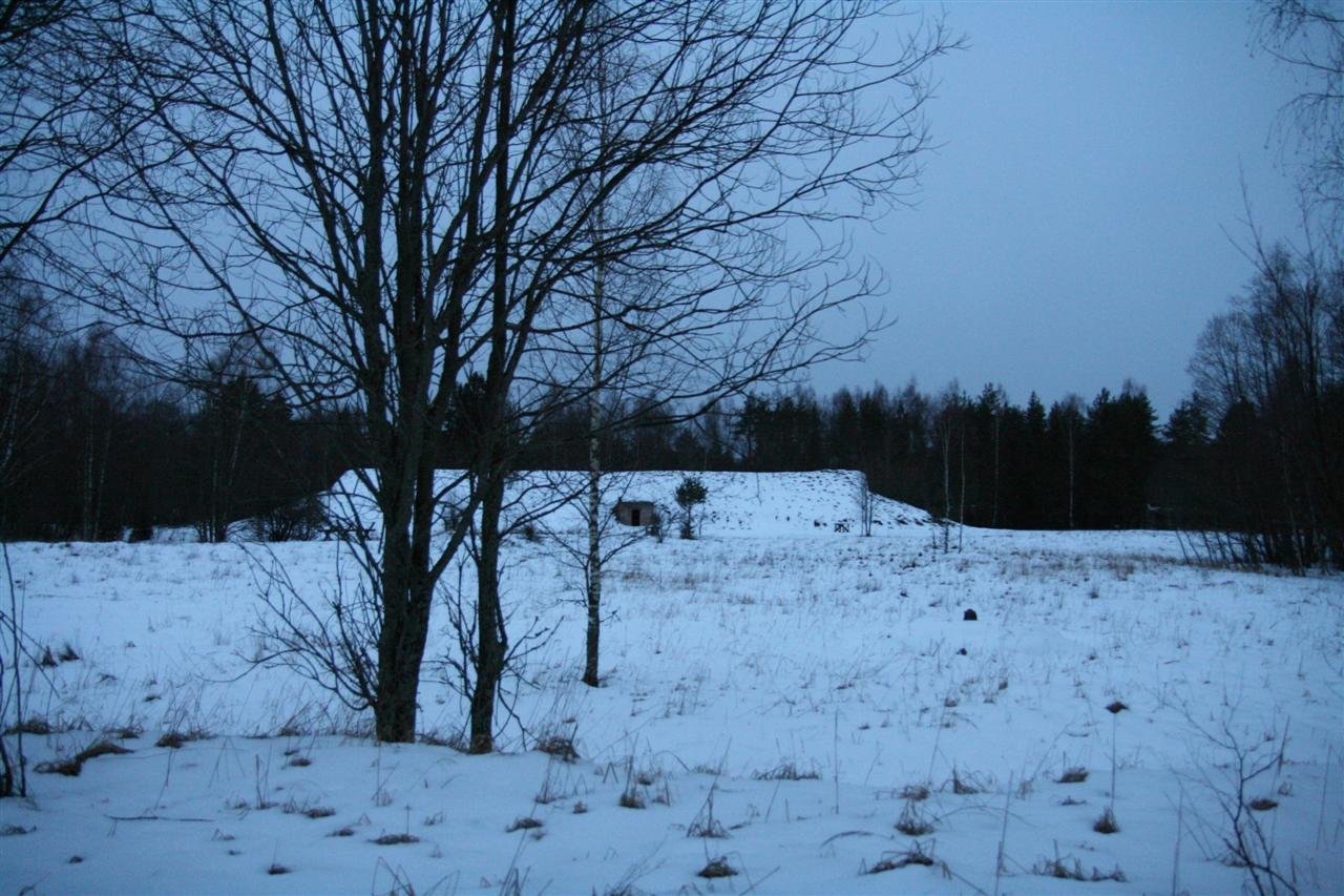 photo57.jpg