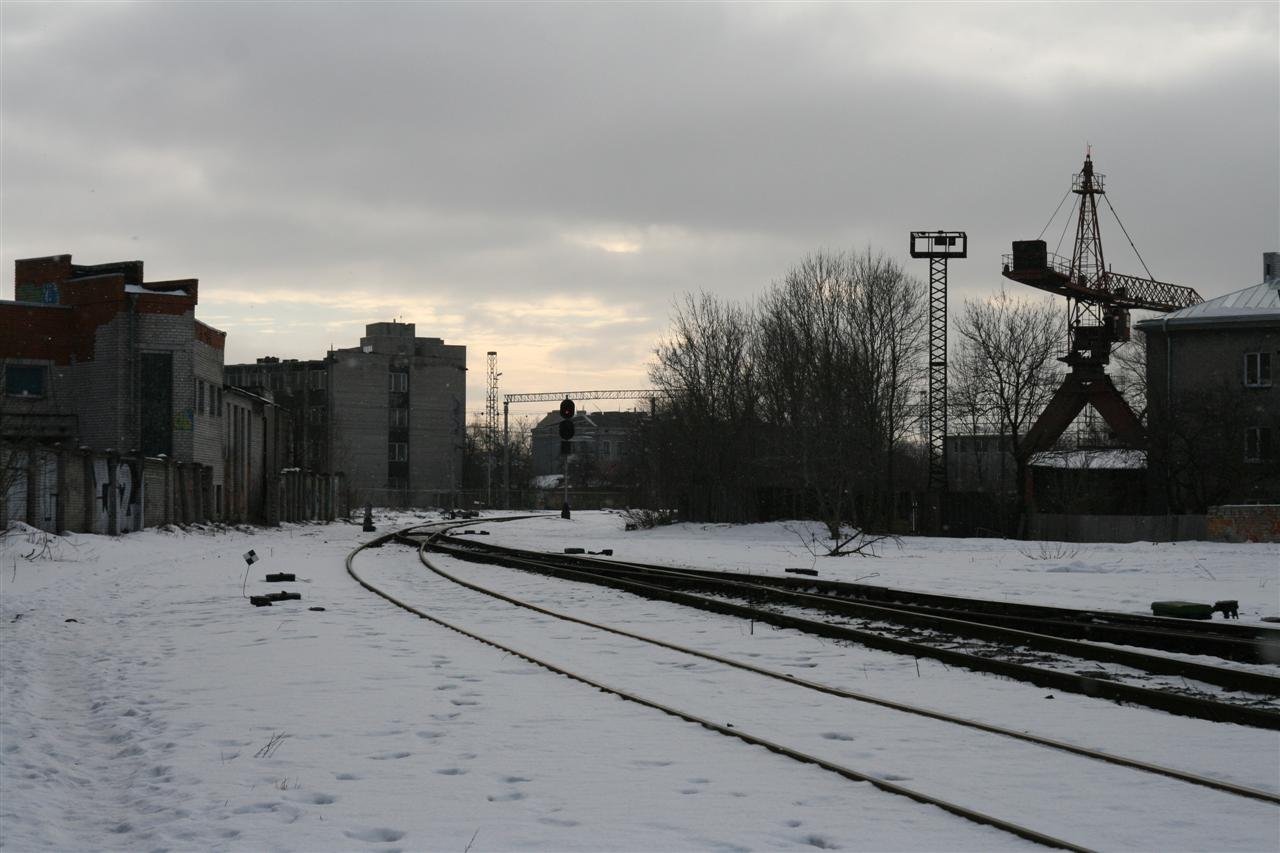 photo7.jpg
