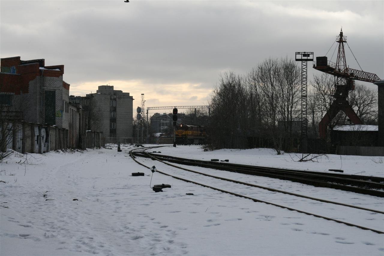 photo8.jpg
