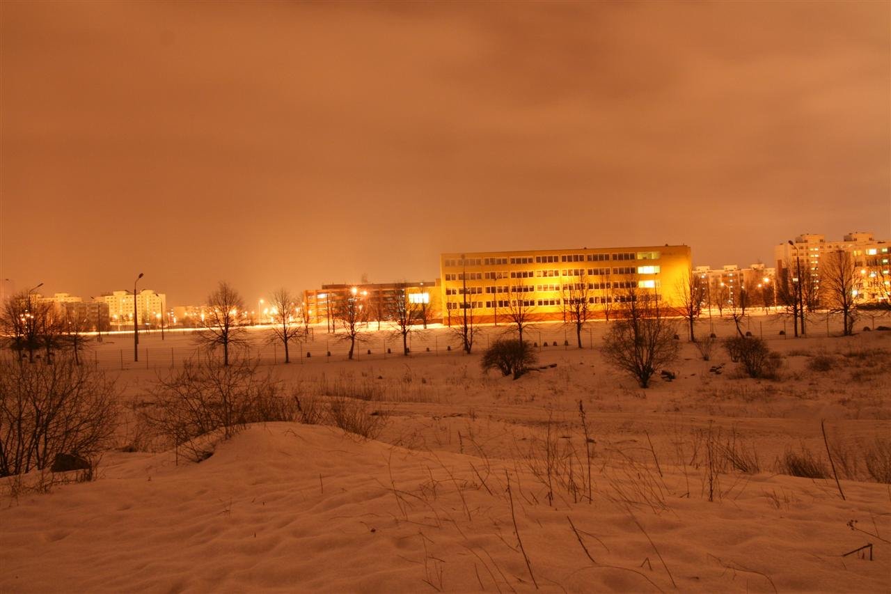 photo9.jpg