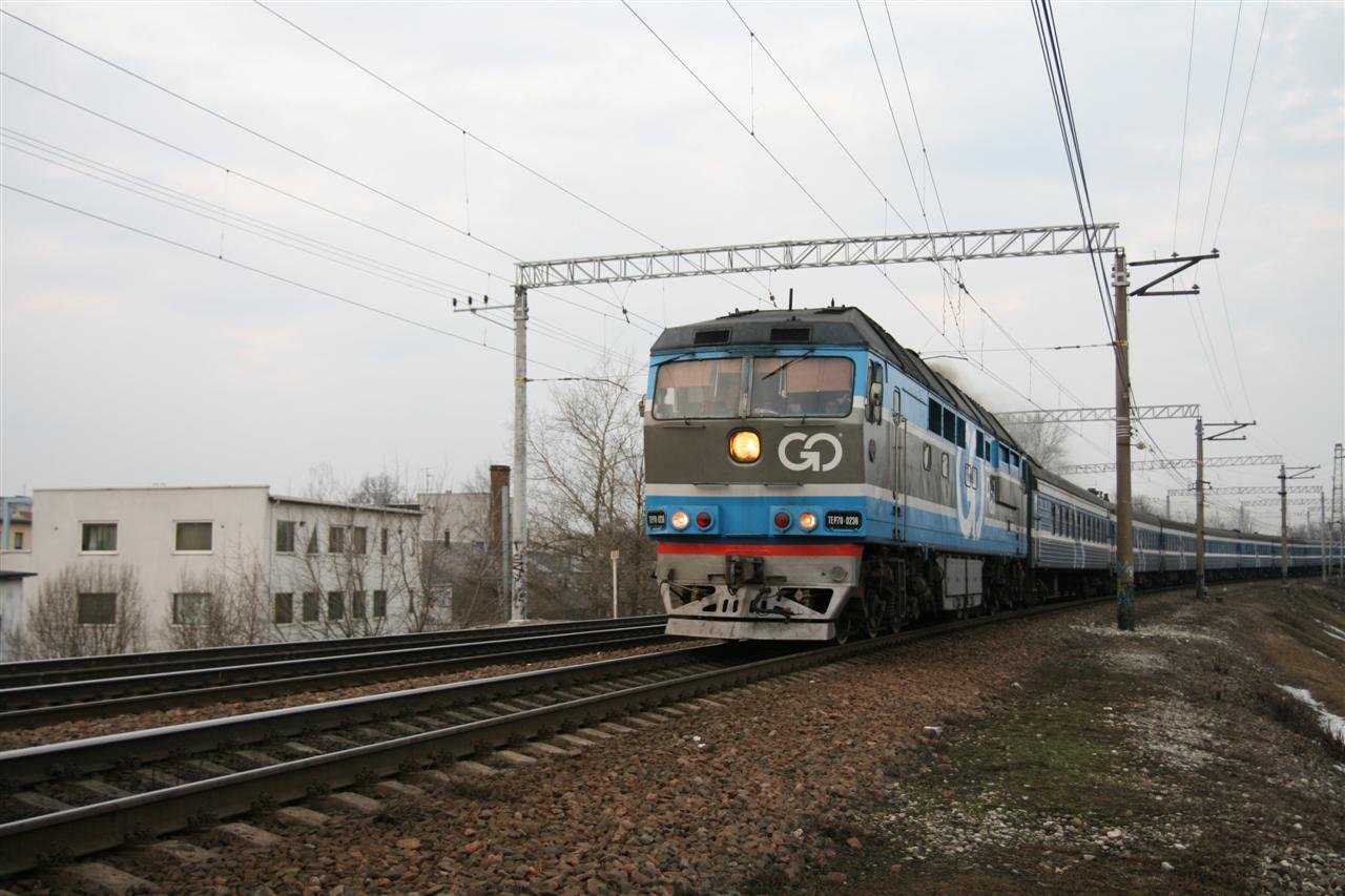 photo33.jpg
