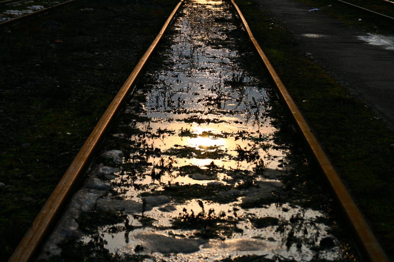 photo7.jpg