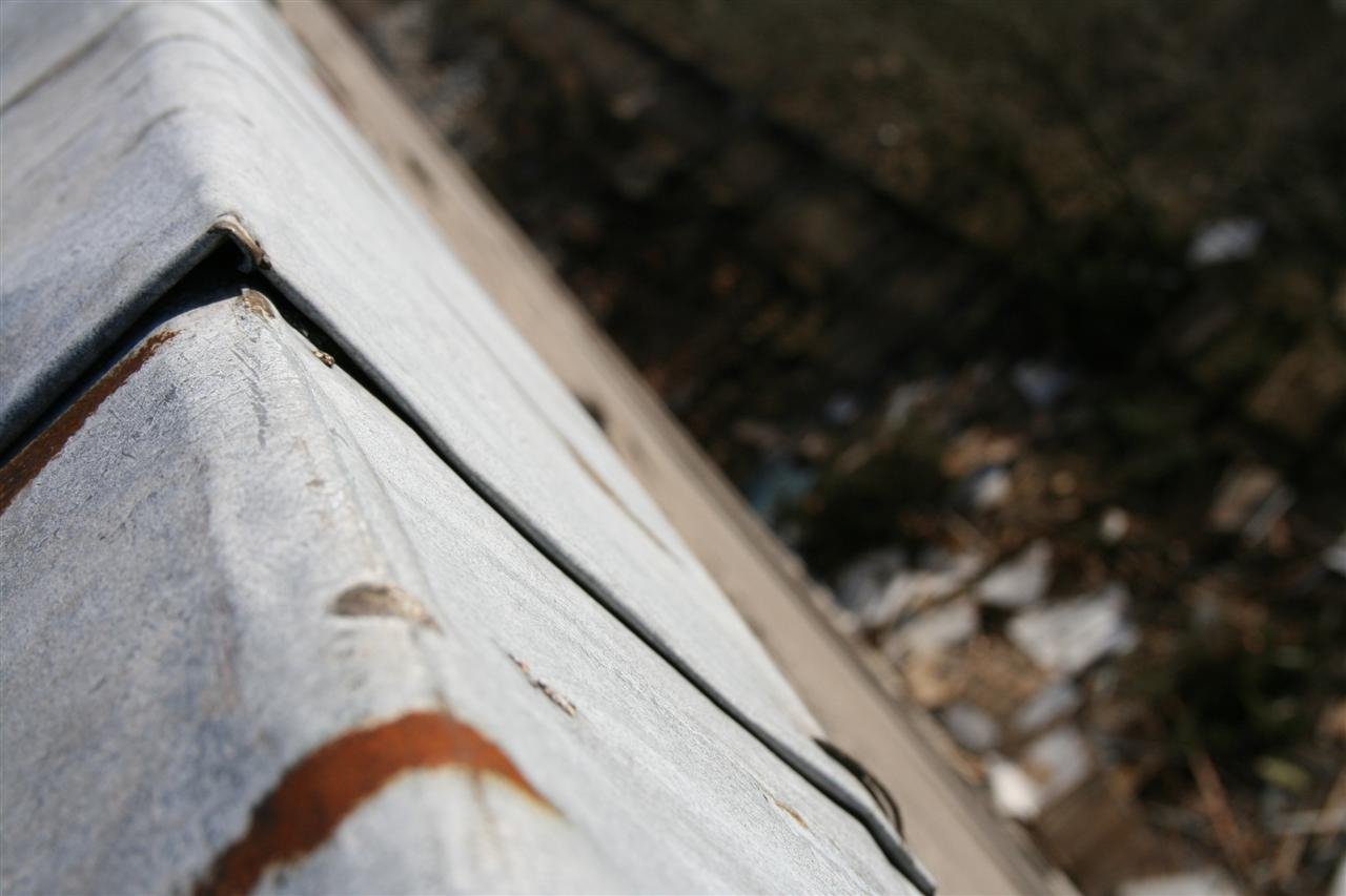 photo14.jpg