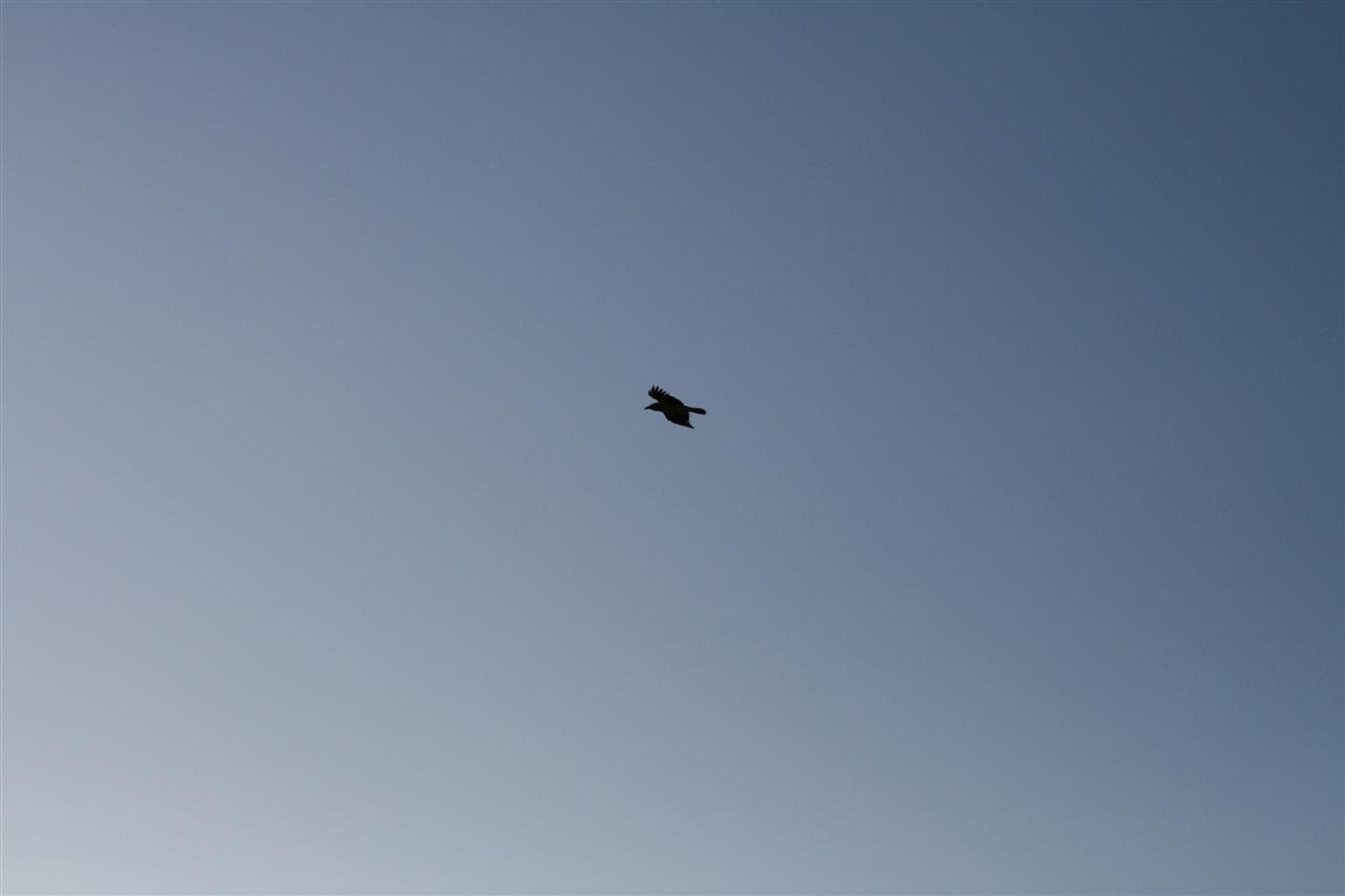 photo7.jpg