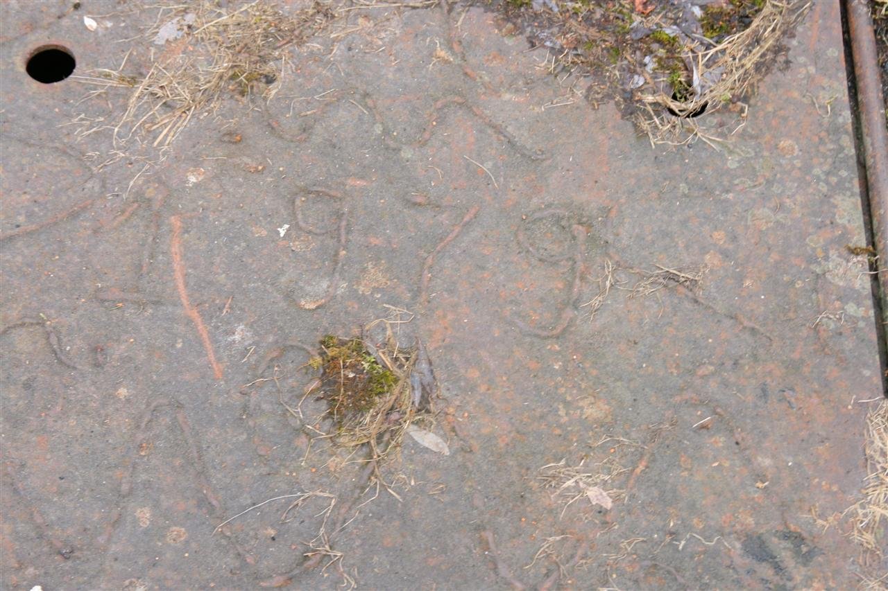 photo103.jpg