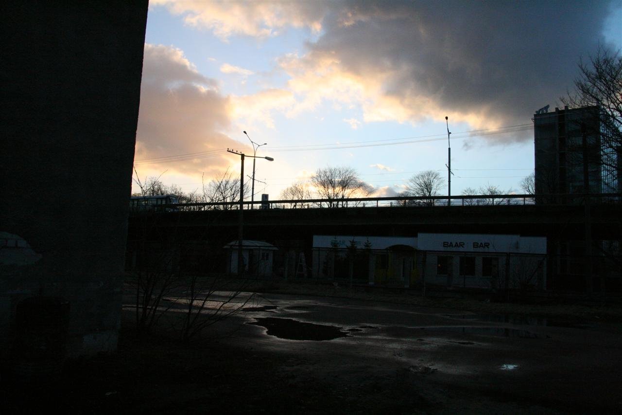 photo29.jpg