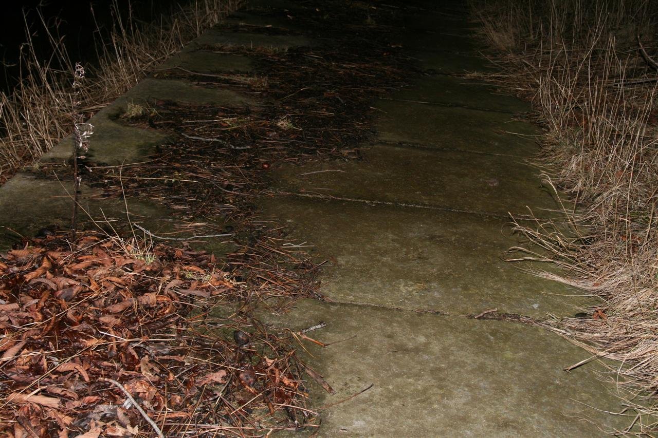 photo69.jpg