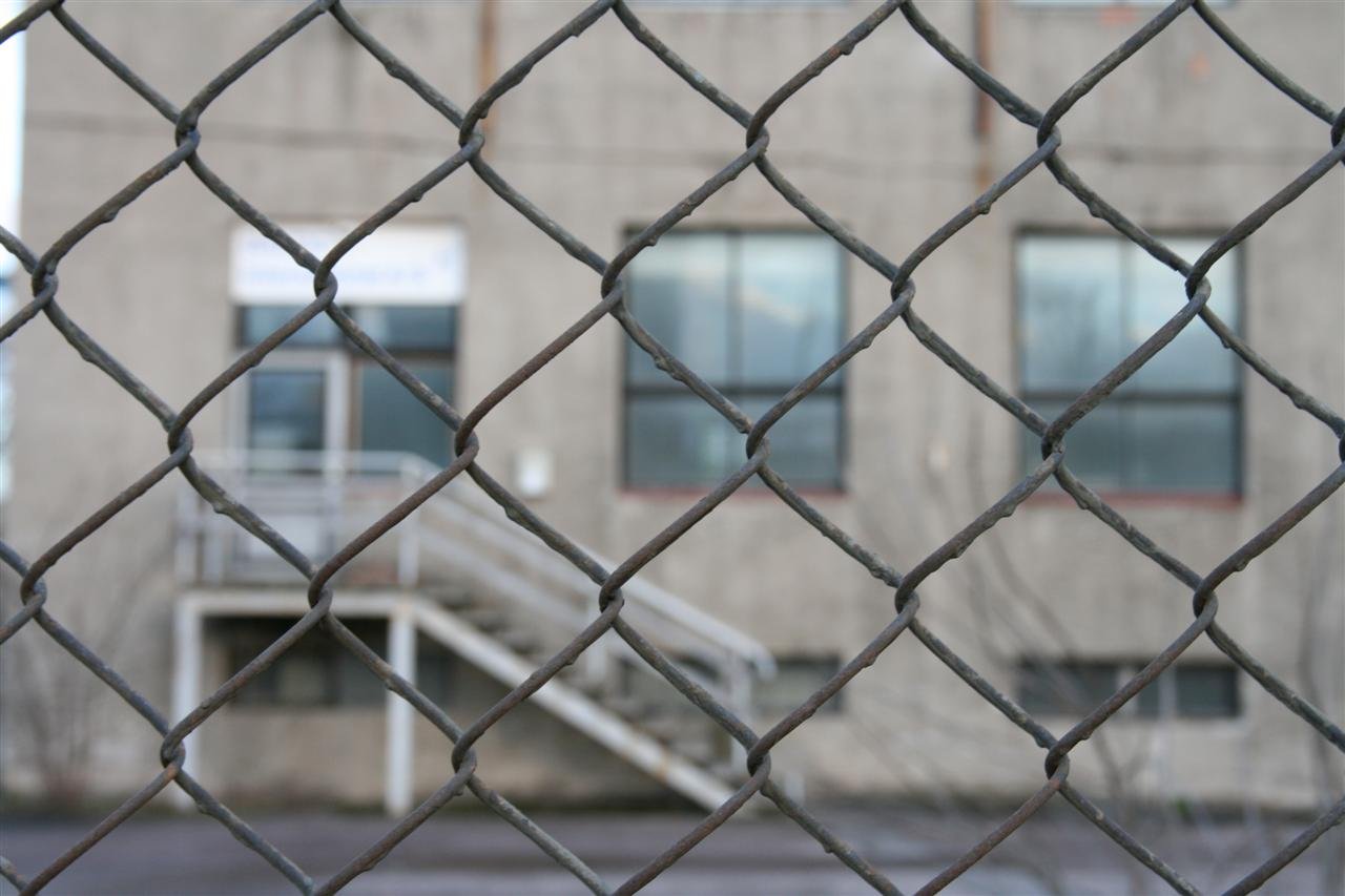 photo7.jpg