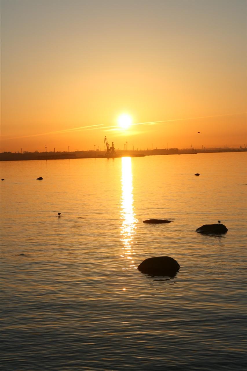 photo17.jpg