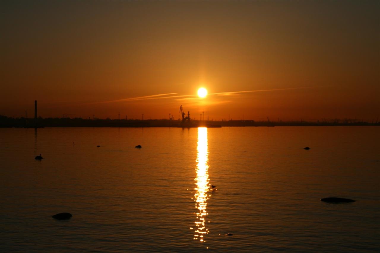 photo22.jpg