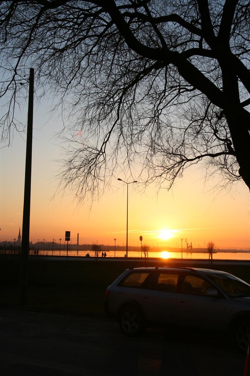 photo28.jpg