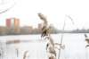 photo100_small.jpg