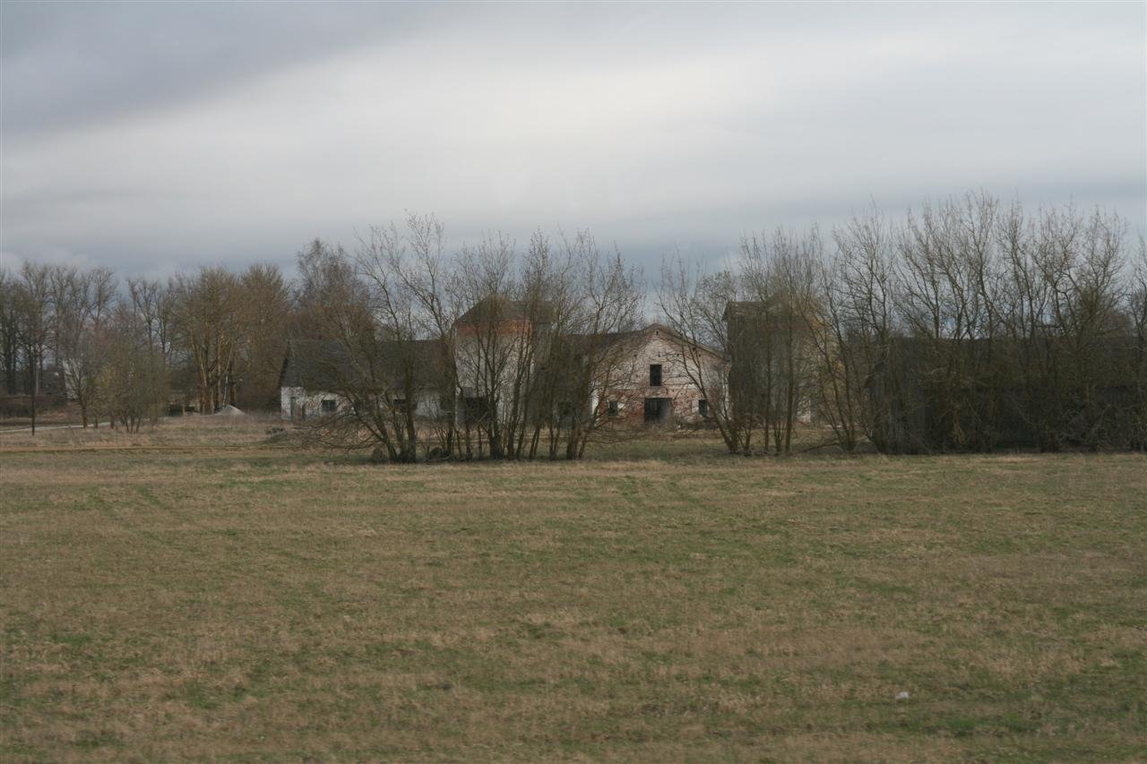 photo123.jpg