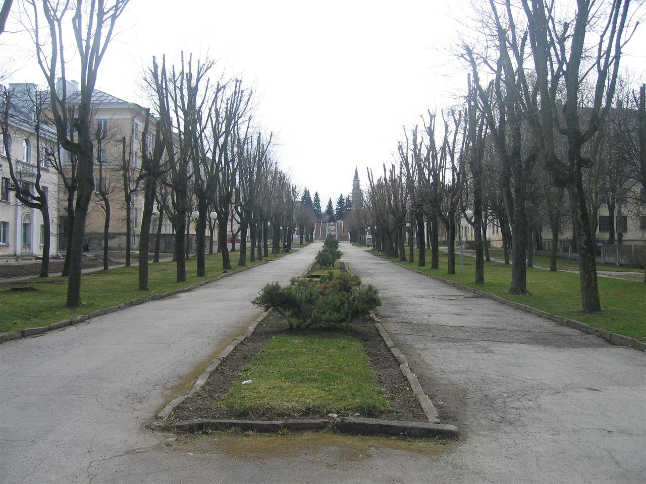 photo14.jpg