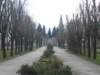 photo15_small.jpg