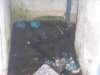 photo19_small.jpg