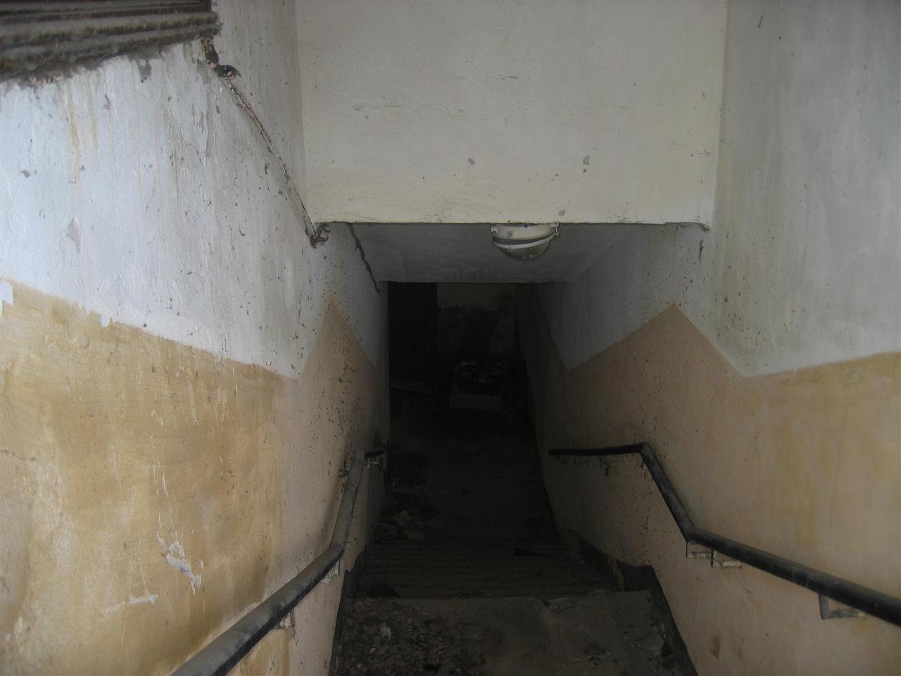 photo29.jpg
