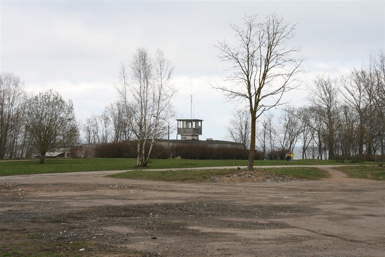 photo37.jpg