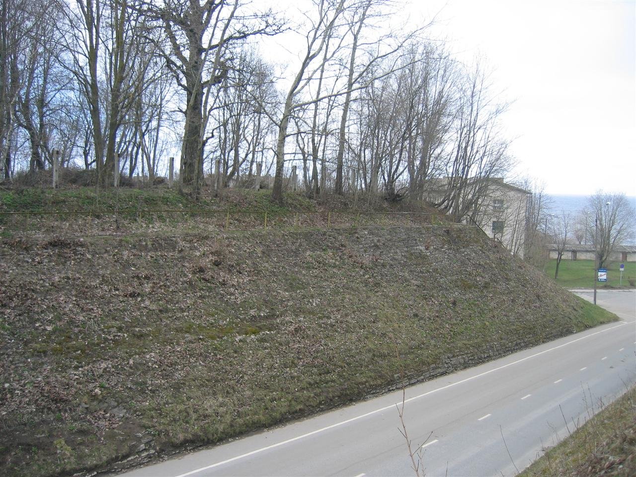 photo7.jpg