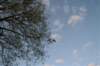 photo21_small.jpg