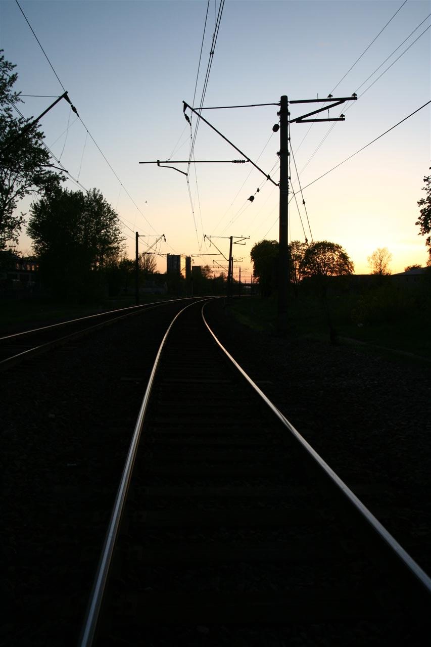 photo29.jpg