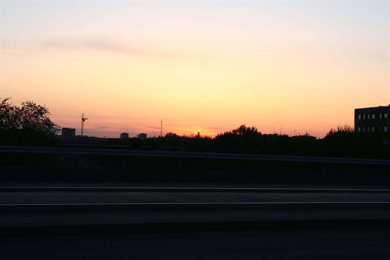 photo31.jpg
